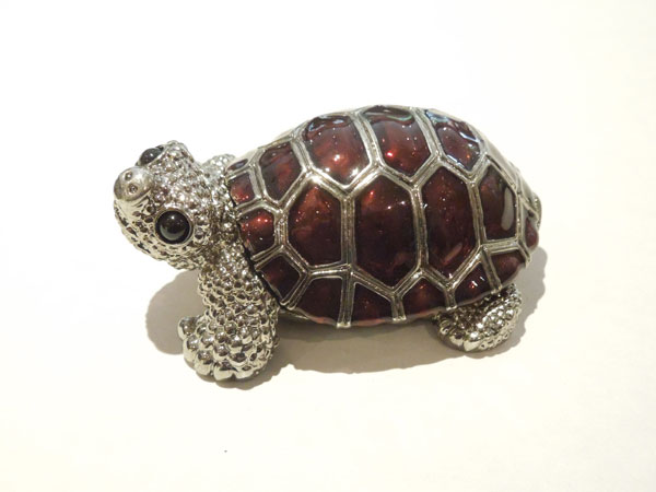tortue-carapace-rouge