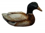 canard colvert