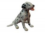 Dalmatien