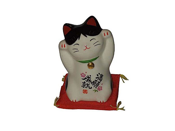 chat-maneki-blanc-levant-de