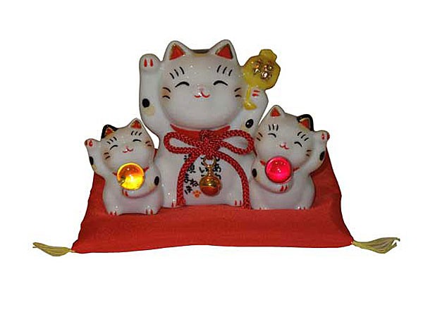 chat-maneki-neko-famille