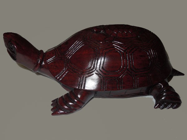 Tortue-feng-shui